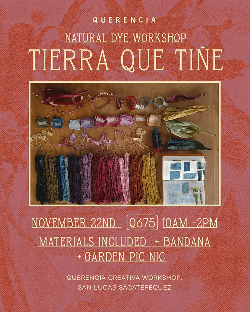 Image with text section