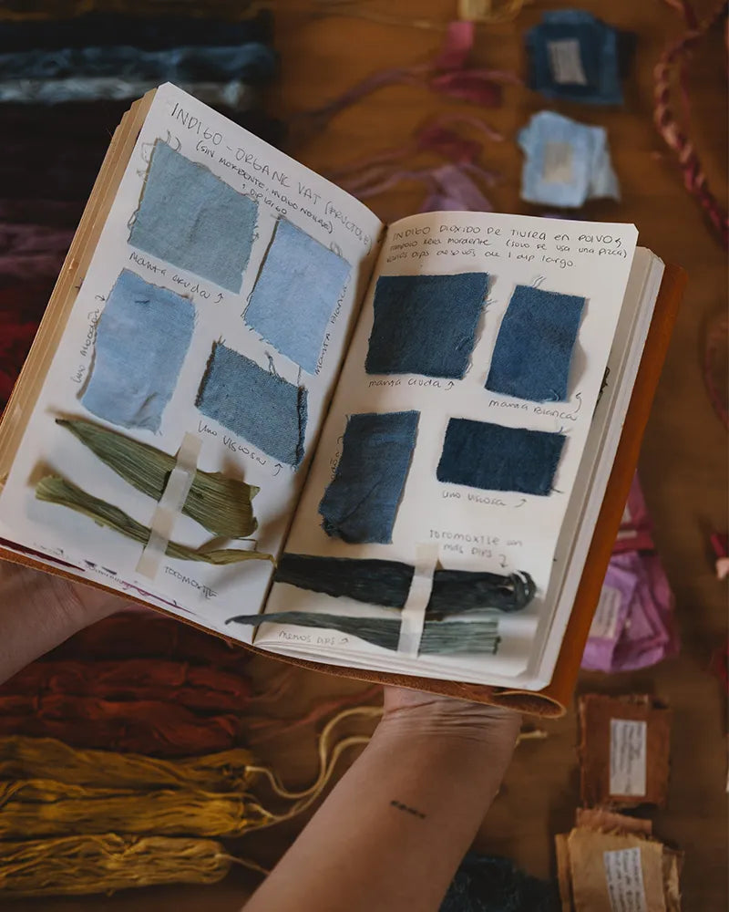 Natural Dyes Workshop