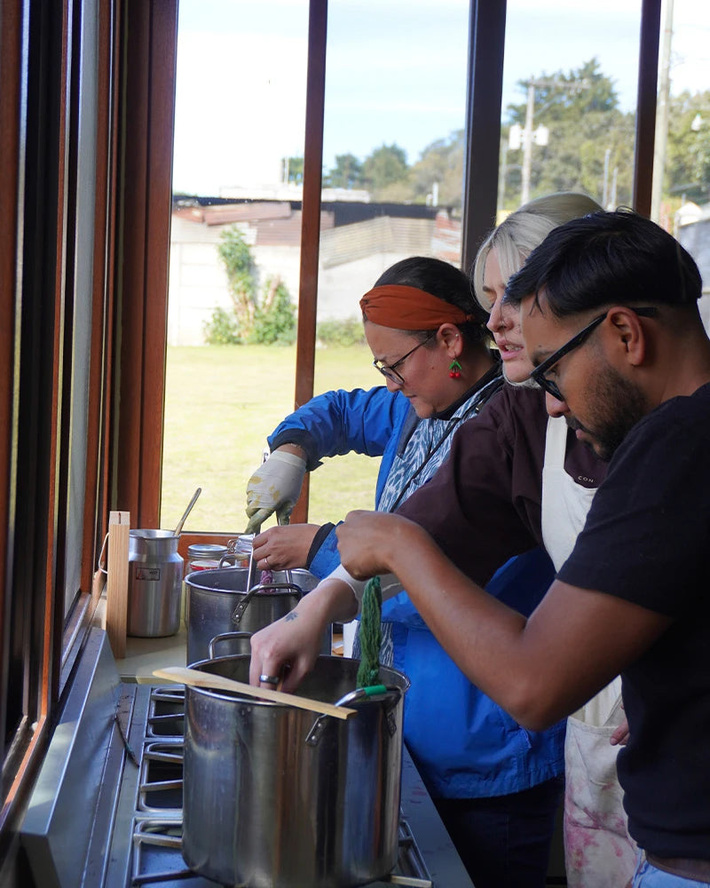 Taller de Tintes Naturales