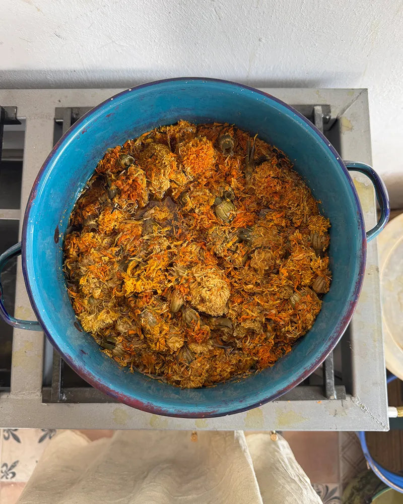 Natural Dyes Workshop