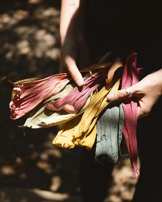 Natural Dyes Workshop
