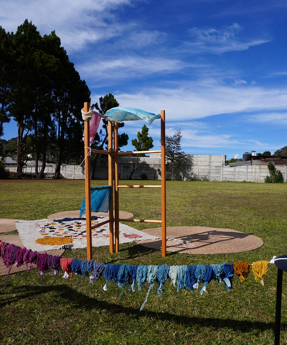 Image with text section